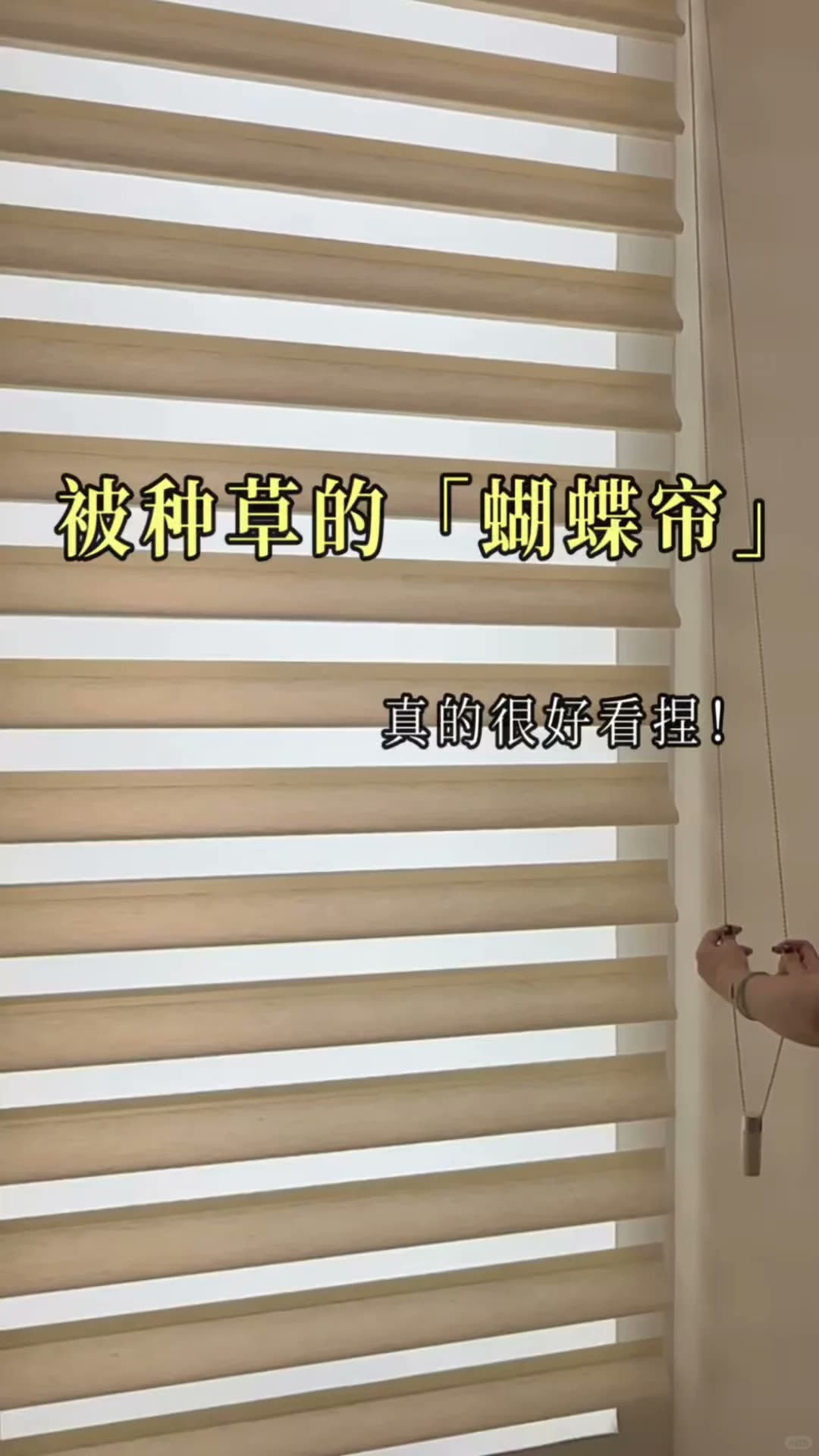小窗户窗帘封神 |蝴蝶帘,解决我选窗帘焦虑