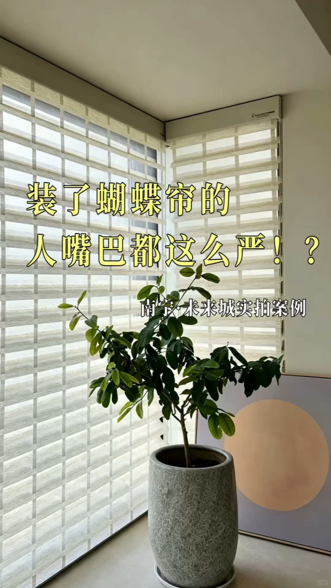 南宁四喜家‖蝴蝶帘,安全下车!